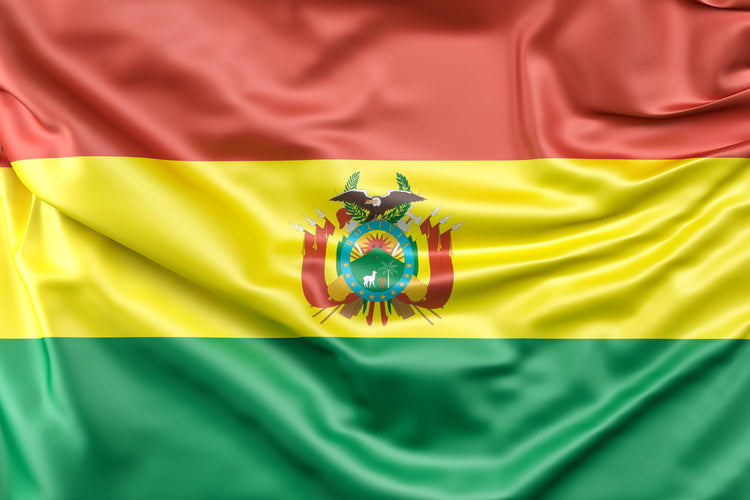 Bio-Kaffee aus Bolivien